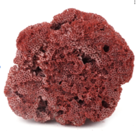 Antique Red pipe Organ coral